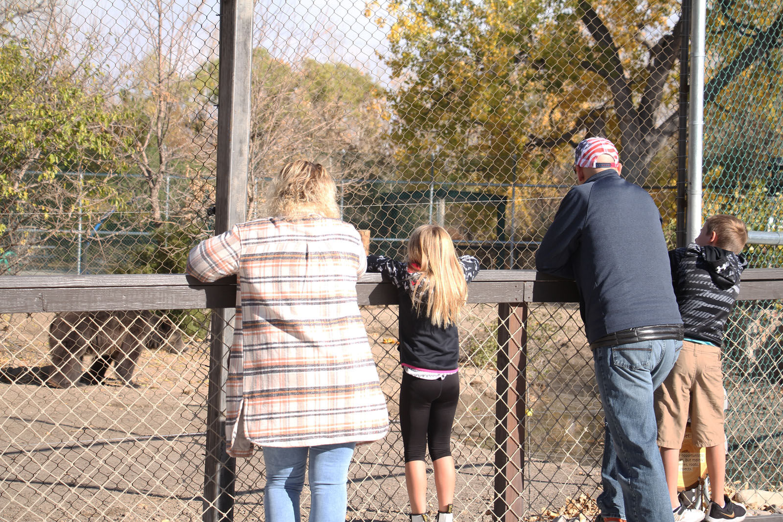 IMG_0006RDC Bear Exhibit.jpg